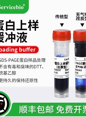 赛维尔 5xSDS-PAGE蛋白上样缓冲液loading buffer变性还原/非还原