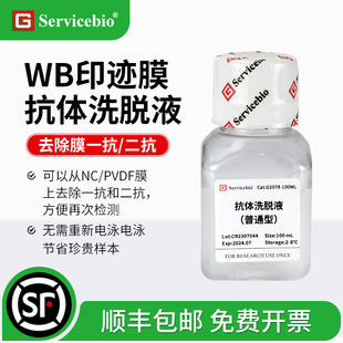 赛维尔 Western blot 抗体洗脱液 普通型/增强型 NC/PVDF膜再生液