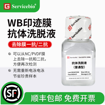 赛维尔 Western blot 抗体洗脱液 普通型/增强型 NC/PVDF膜再生液