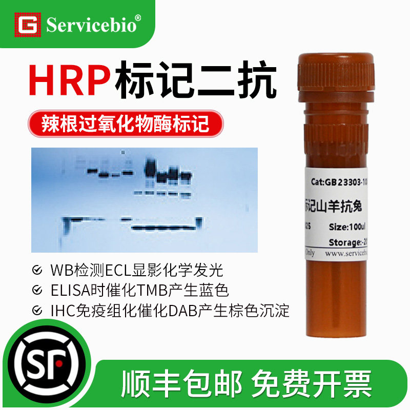 HRP辣根过氧化酶标记二抗 小鼠兔 IgG WB/IHC二抗 HRP IgG (H+L)