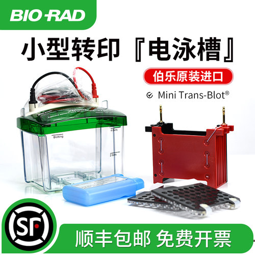 小型实验仪器BIO-RAD伯乐