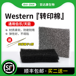 Western转印棉湿转转印海绵垫海绵衬垫多孔垫通用伯乐1703933天能