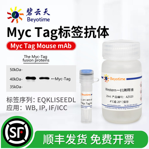 碧云天Myc标签抗体AB3069-20μl