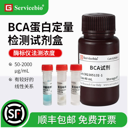 赛维尔 BCA蛋白定量检测试剂盒 蛋白质浓度测定 G2026-200T