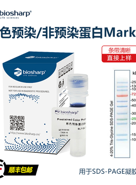 彩色预染/非预染蛋白markerSDS-PAGE电泳marker条带清晰