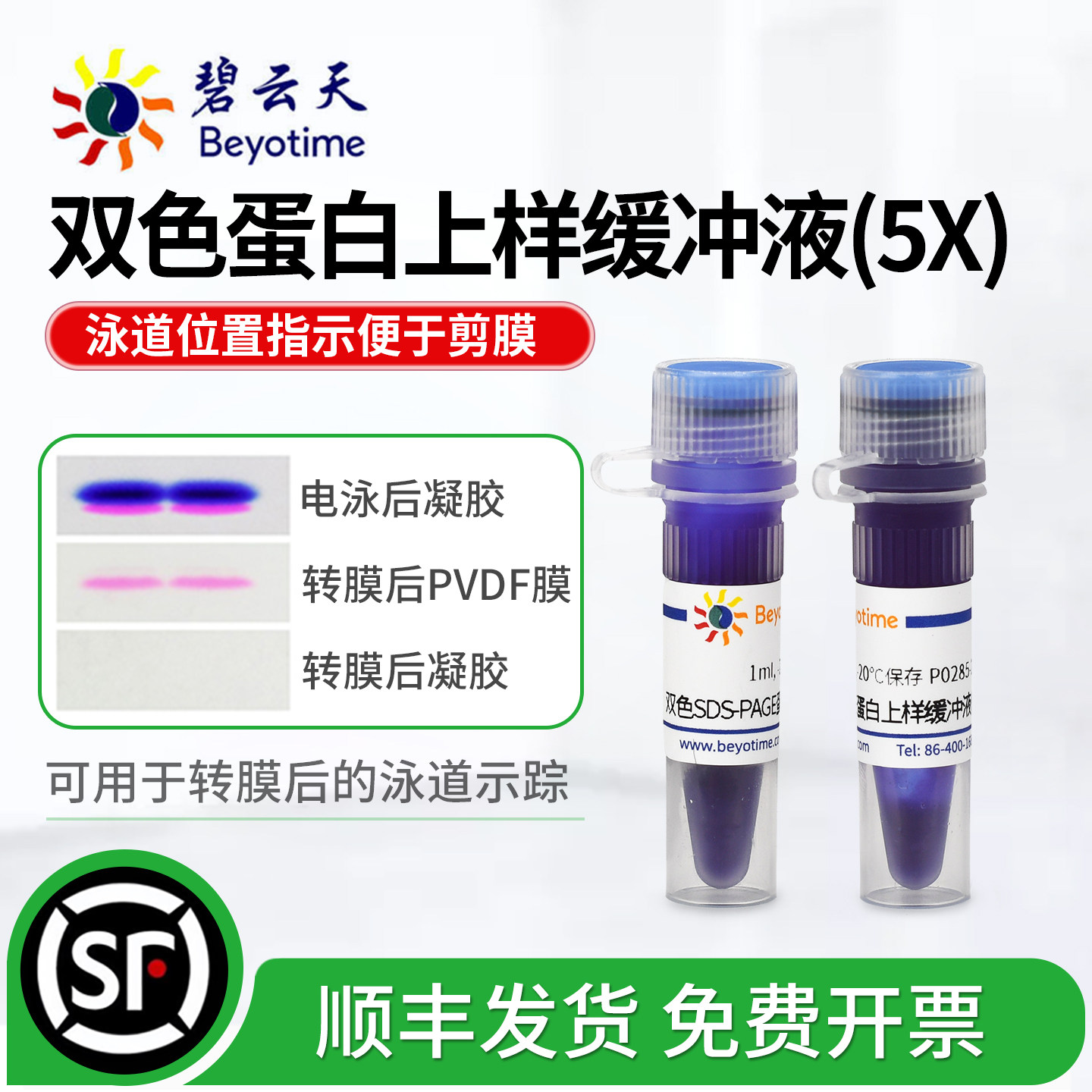 碧云天SDS-PAGE蛋白上样缓冲液图片