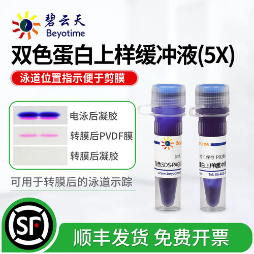 碧云天SDS-PAGE蛋白上样缓冲液