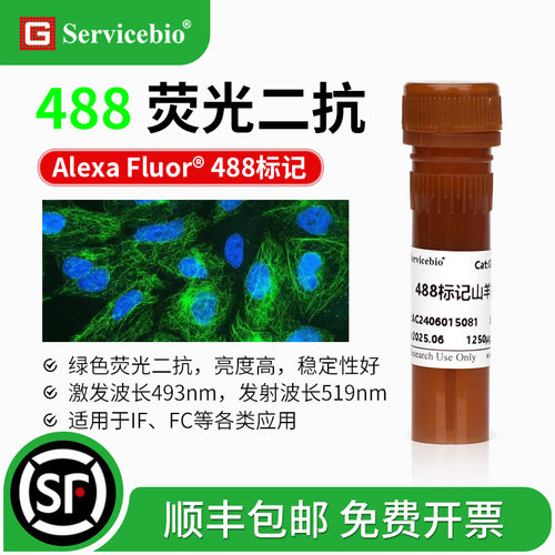 488荧光二抗绿荧光素酶标记探针