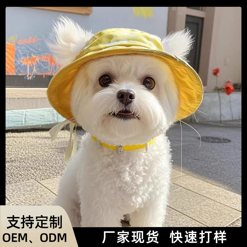 狗狗帽子可爱露耳朵猫咪