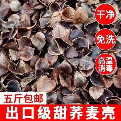 全荞麦壳散装枕头免洗助眠单人