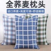 全荞麦壳枕头单人宿舍硬枕芯带枕套护颈椎荞麦皮单个装 助睡眠男女