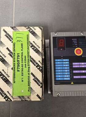 维修ESA ESTRO C2火焰控制器，