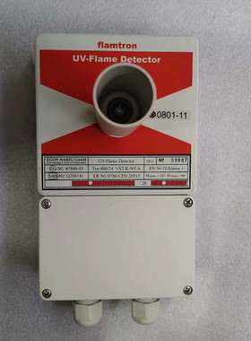 FLAMTRON 800/24 VST-K-NTA 火焰探头