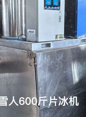 议价雪人SNOWDEER 600斤片冰机，220V，型号SD30
