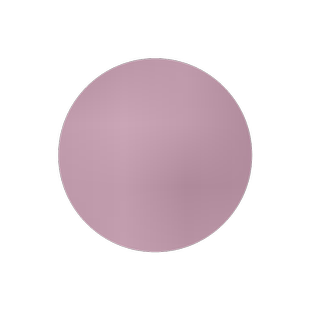 粉蒲苇 矮蒲苇 【白色彭巴斯】种子多年生耐热耐旱耐涝庭院观赏草