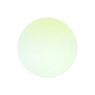 茼蒿菊种子木茼蒿多年生宿根花草种子木春菊种子景观花海易种包邮