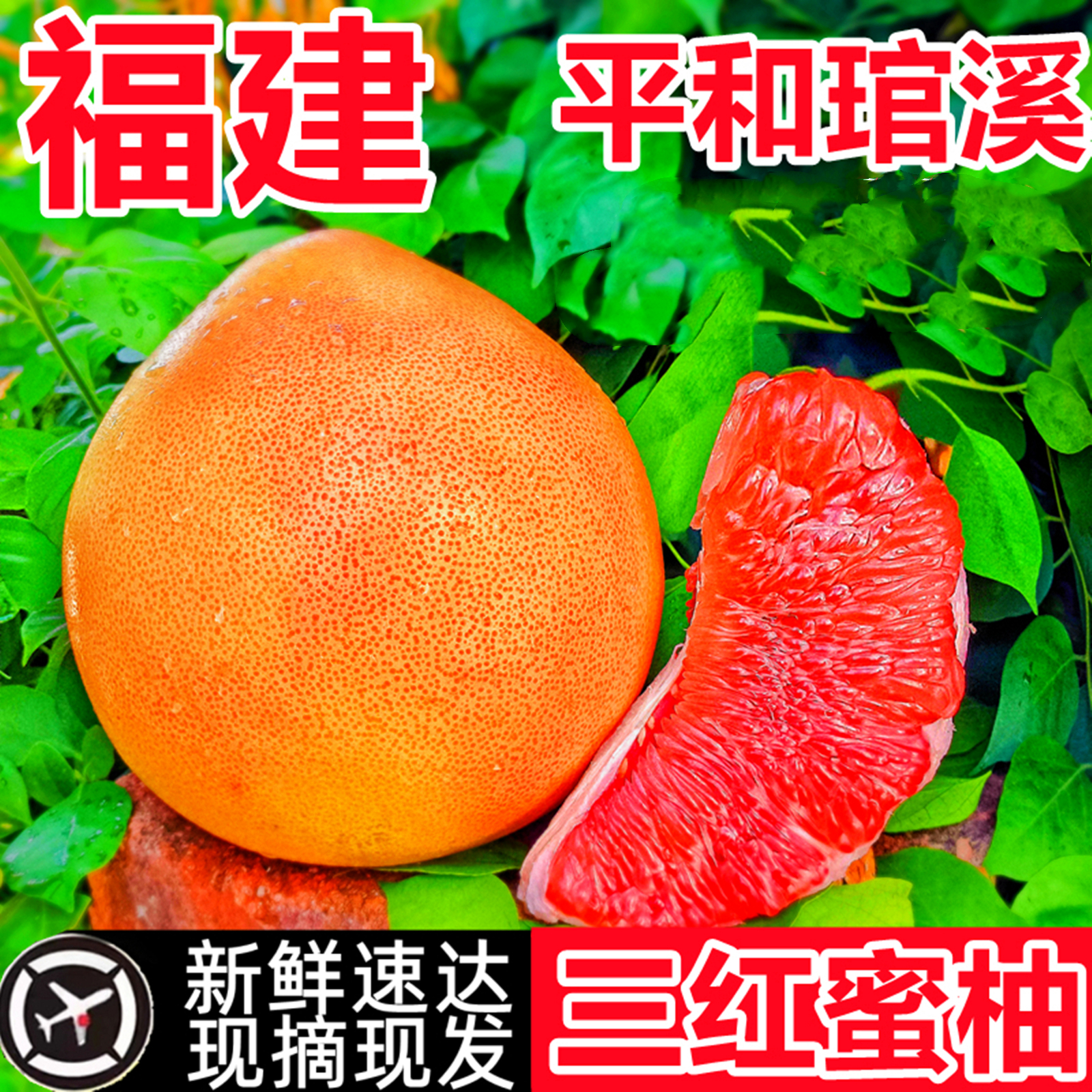 【回购10万+】平和三红蜜柚水甜