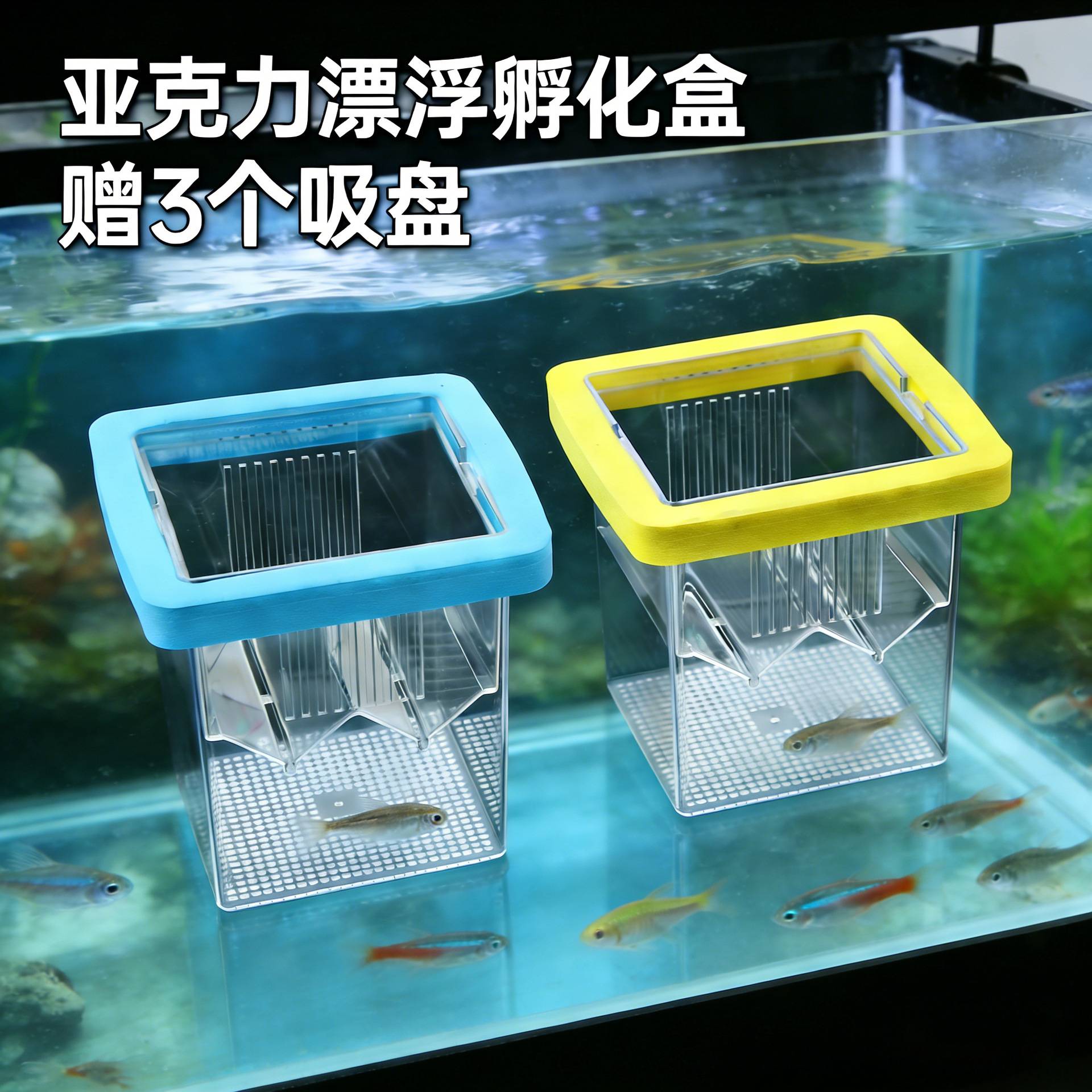 观赏鱼专用悬浮隔离孵化盒亚克力