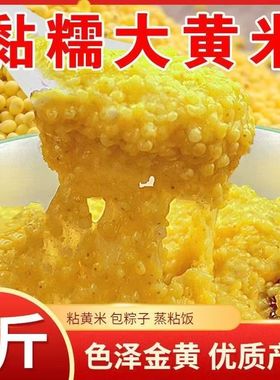 2025新大黄米新米农家黏黄米粘大黄米糯大黄米汤圆包粽子烧粥