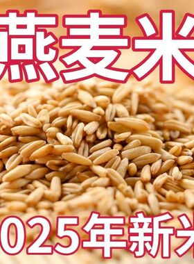 2025新燕麦米新米东北燕麦米农家裸燕麦搭配糙米代餐1斤多规格发