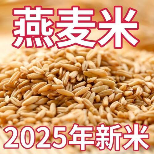 2025新燕麦米新米东北燕麦米农家裸燕麦搭配糙米代餐1斤多规格发