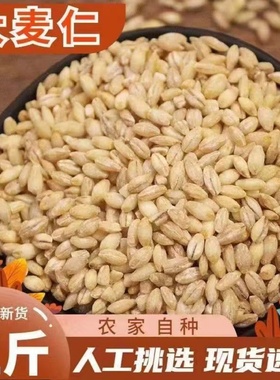 江苏精制去壳大麦米现磨去皮大麦仁米新鲜八宝粥料原料低脂粗粮