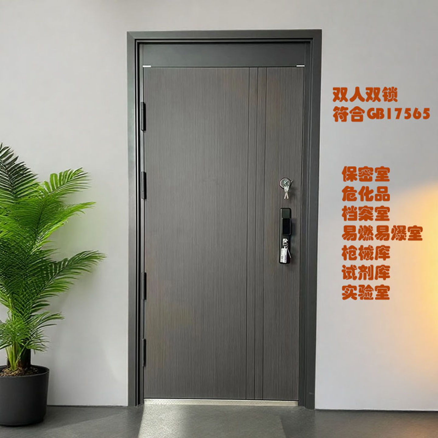 双锁门双锁芯特殊门枪械危化品