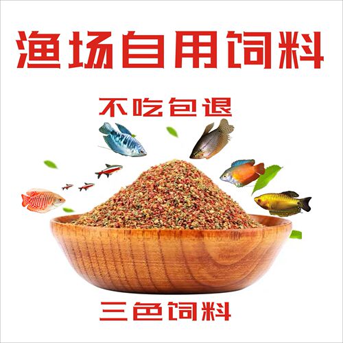 热带鱼饲料三色小型鱼渔场自用