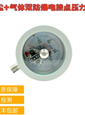 粉尘防爆电接点压力表ExdbIICT6Gb/ExtbIIICT80℃Db气体液体耐震