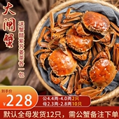 江苏兴化鲜活大闸蟹全母青壳白底公母装 鲜活海鲜淡水稻田蟹现货