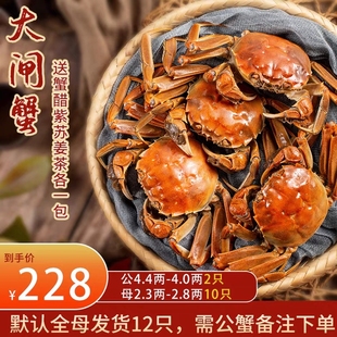 江苏兴化鲜活大闸蟹全母青壳白底公母装鲜活海鲜淡水稻田蟹现货