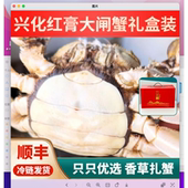 江苏螃蟹红膏蟹河蟹海鲜水产鲜活大闸蟹新鲜水产挑膏优选礼盒装