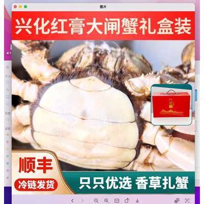 鲜活水产螃蟹江苏大闸蟹公母混装