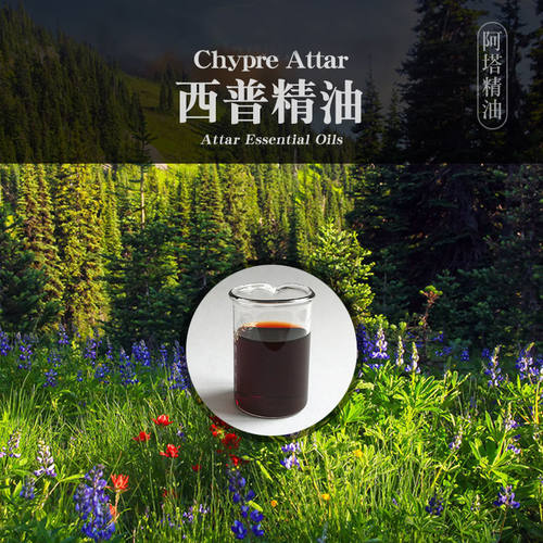 柔续®印度西普精油5ml芳疗精油面部调香按摩香薰扩香植物精油