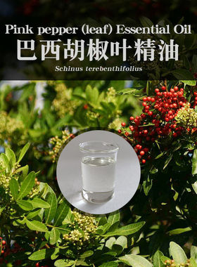 柔续®巴西胡椒叶单方精油5ml植物天然植物芳疗spa会所美容院用