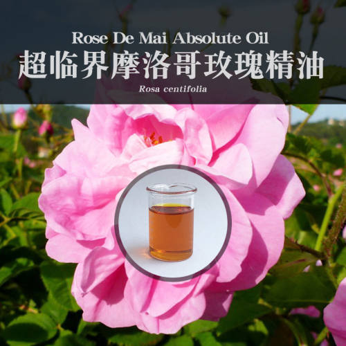 柔续®摩洛哥千叶玫瑰精油5ml超临界CO2原精芳疗面部天然植物香氛
