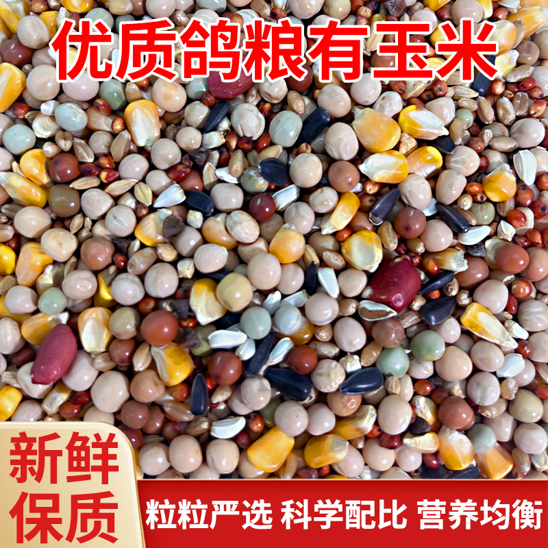 有玉米粒5斤鸽子粮高粱豌豆营养混合饲料专用信观赏鸽子粮食包邮