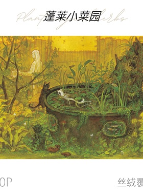 【即将绝版无补】可诺拼蓬莱小菜园2分包丝绒覆膜手工玩具成人DIY