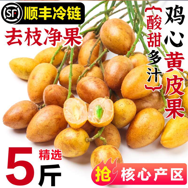 正货广西鸡心黄皮果新鲜孕妇水果奶茶专用酸甜黑金刚黄皮5斤整箱