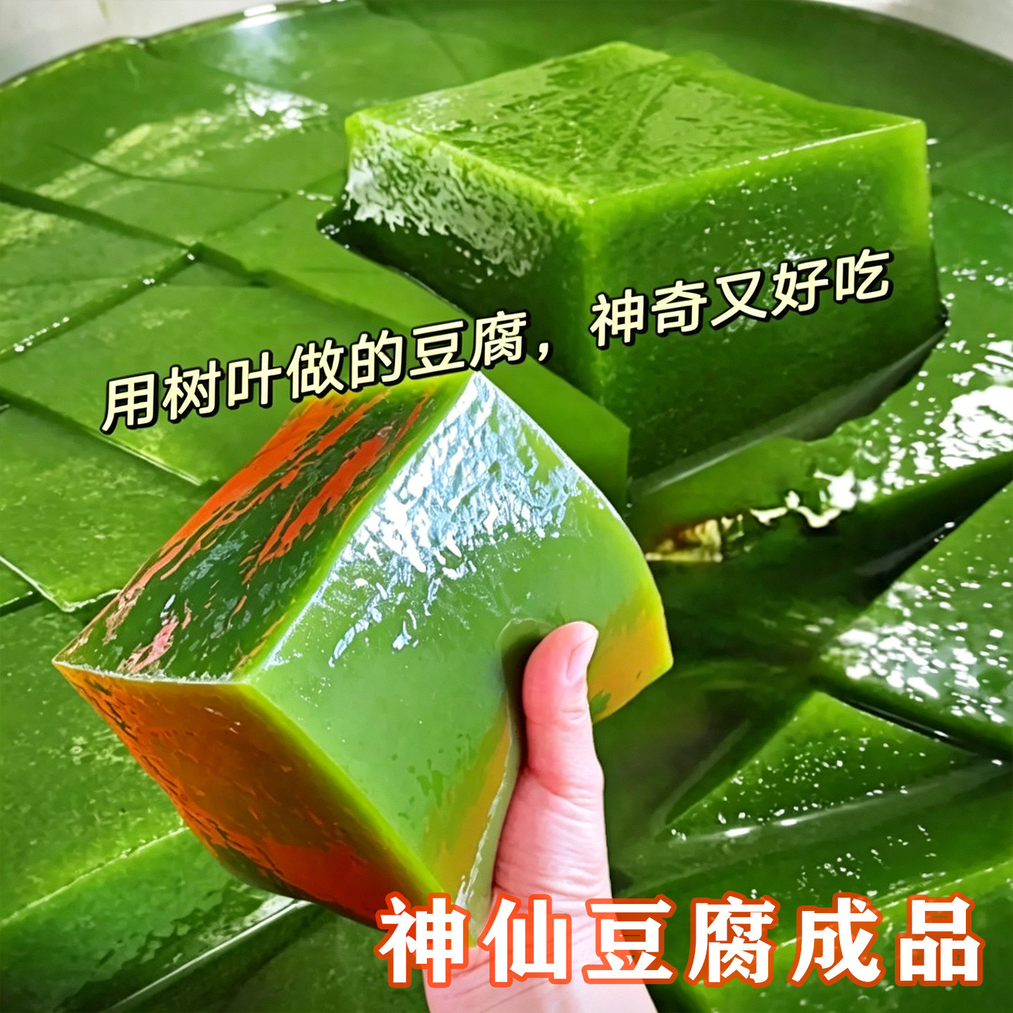 神仙豆腐成品斑鸠叶树树叶豆腐观音绿豆腐凉拌菜火锅食材商用凉粉