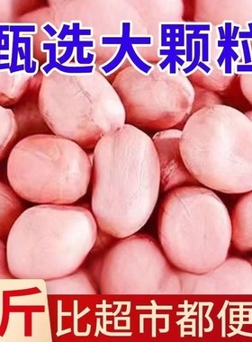【限时促销】现剥精选大颗粒粉皮新鲜花生榨油种大粒白沙生花生米