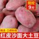 限时促销 云南新鲜红皮黄心土豆9斤2025新农家洋芋蔬菜马铃薯
