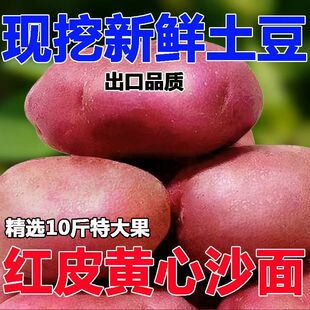 2025年云南高原新鲜现挖红皮黄心土豆马铃薯蔬菜优选农家健康洋芋