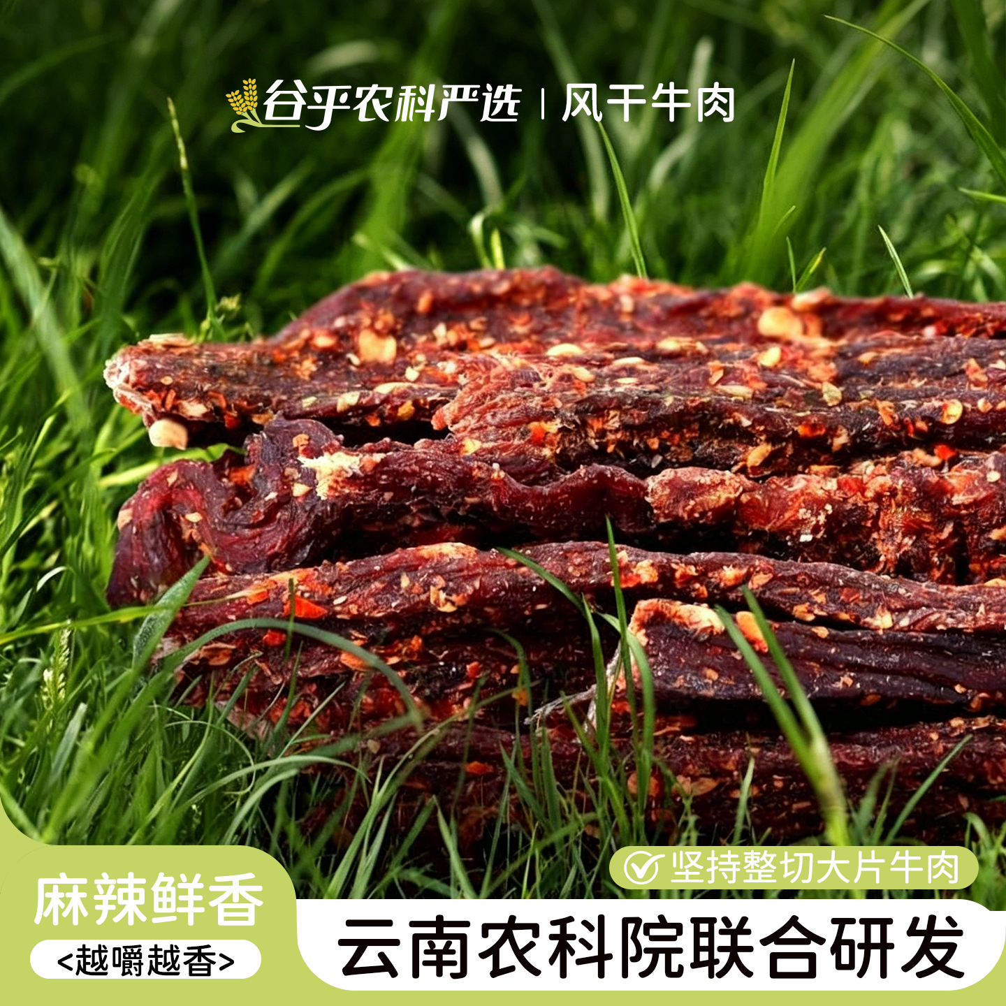 农科院滇二娃风干牛肉干手撕特超干内蒙古小吃零食麻辣特产袋装