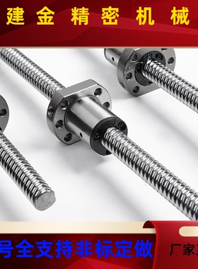 SFS1605/2510/3205/3220/2525/3232/4010高速静音型滚珠丝杆螺母