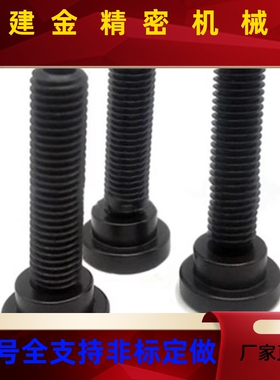 S8GBSN/SGBS/10/螺12-40/50/63VNE/80摇摆螺丝可调角度件栓组球头