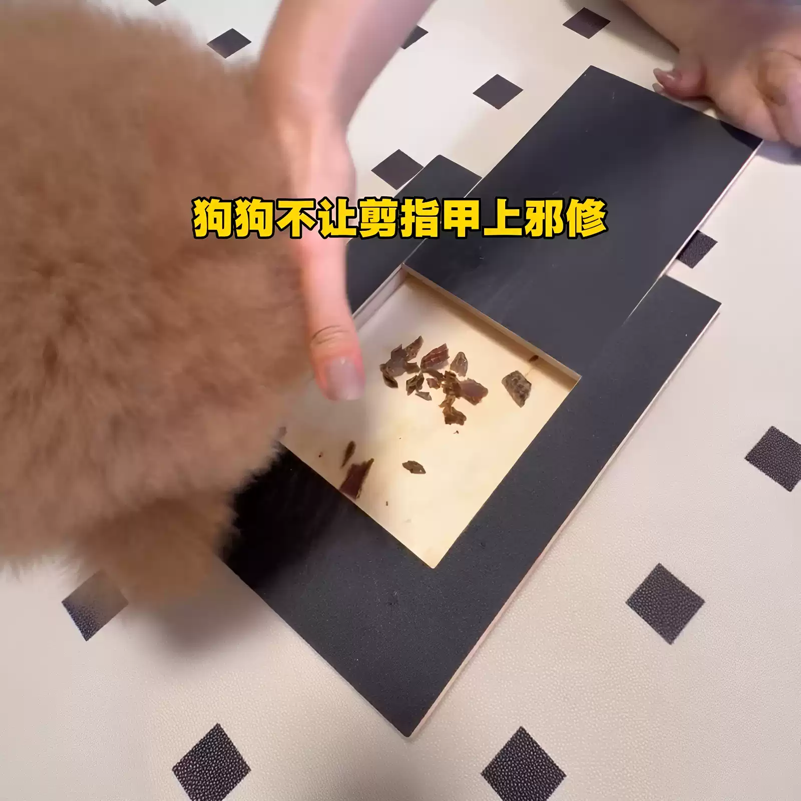 木质磨甲狗抓板配食盒沙发防抓+