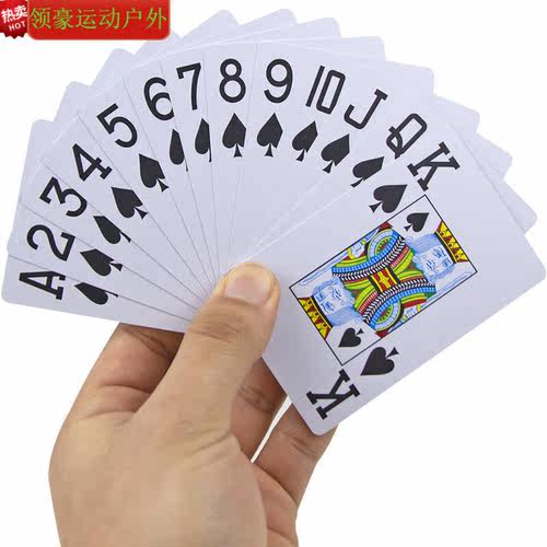 简尔（AILIN）飞牌扑克飞牌练习德州大字扑克牌彤乐磨砂加厚塑料