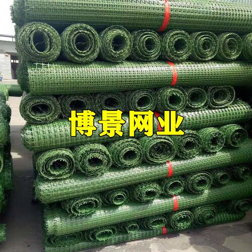 现货新品绿色塑料网围栏网养殖网j塑胶网格防护栅栏网鸡鸭鹅养殖