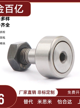 国产BPB01 02 05 BPB11 12 -d3-d4-d5-d6 微型凸轮随动器滚轮轴承